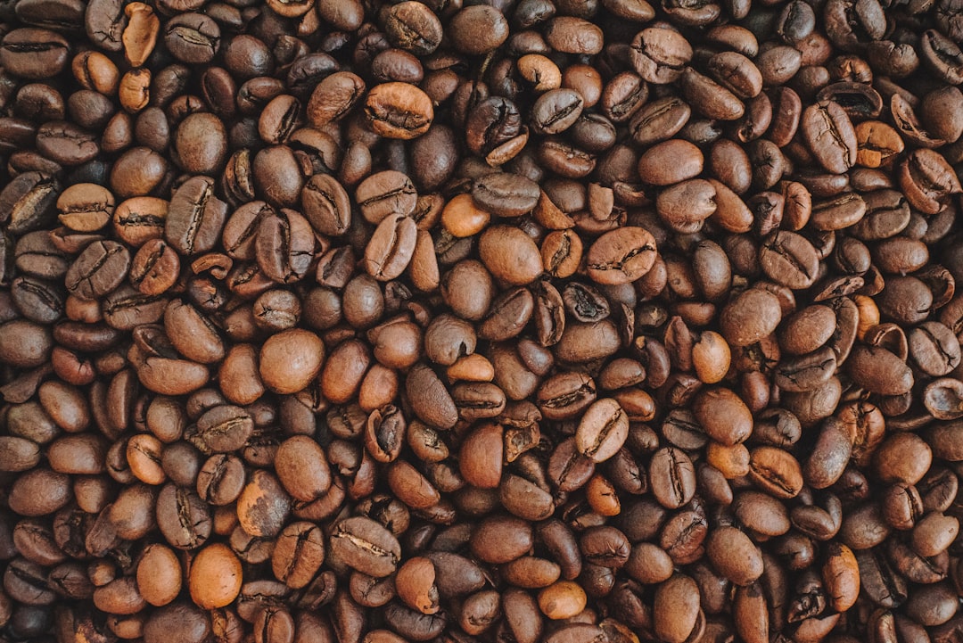 風味を言葉にするコーヒーのテイスティング
