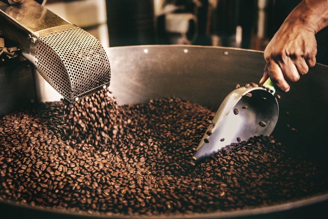 コーヒーの種類は3つの見方で整理できる